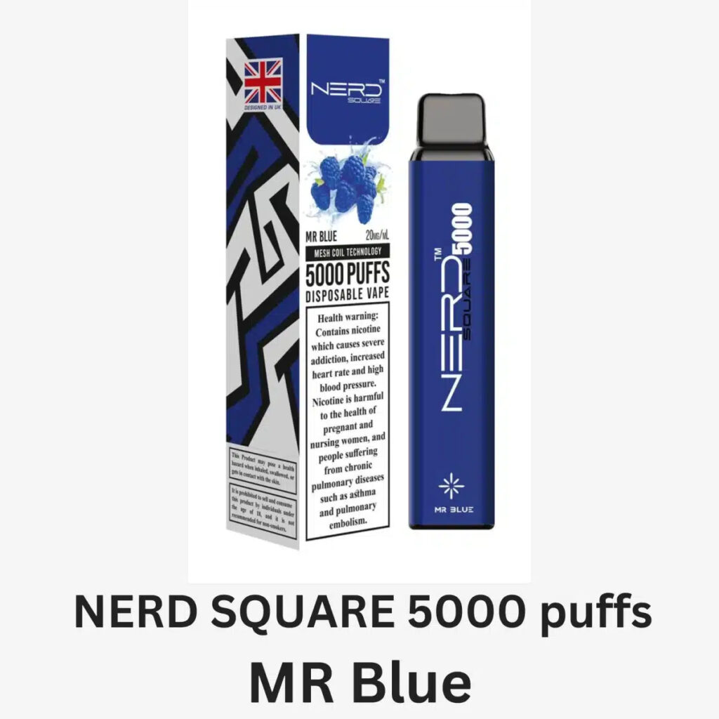 NERD SQUARE 5000 Puffs Disposable Vape In Dubai   MR Blue