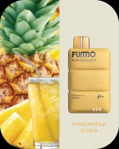 FUMMO Magnum 8000 Puffs 20MG Disposable Vape Price in Dubai PINEAPPLE SODA
