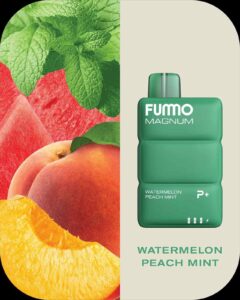 FUMMO Magnum 8000 Puffs 20MG Disposable Vape Price in Dubai WATERMELON PEACH MINT