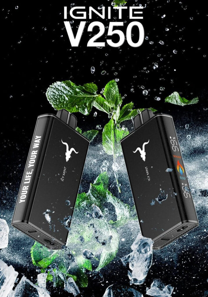 IGNITE V250 25000 Puffs Disposable Vape Icymint