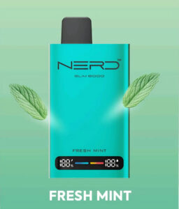 NERD Slim 80000 Puffs Disposable Vape Price in Dubai Fresh Mint