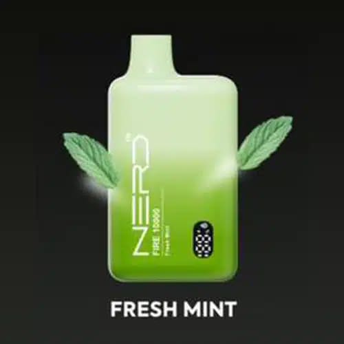 Nerd Fire 10000 Puffs 20mg Disposable Vape- Frseh-Mint