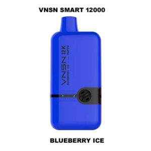 VNSN Smart 12000 Puffs 50Mg Disposable Vape blue razz lemonade