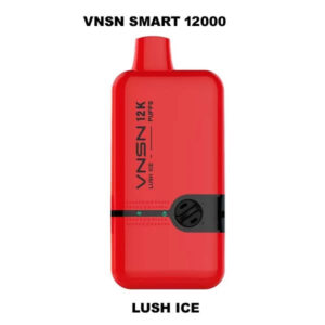 VNSN Smart 12000 Puffs 50Mg Disposable Vape lush ice