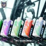 ELF BAR Ice King 30000 Puffs 50MG Disposable Vape    Cherry Watermelon