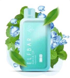 Elfbar-Raya-D1-13000-puffs-Disposable-Vape-Miami-Mint