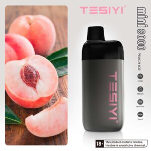 Tesiyi Mini 8000 Puffs Disposable Vape in Dubai - Peach Ice