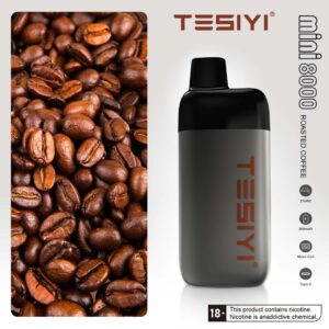 Tesiyi Mini 8000 Puffs Disposable Vape in Dubai - Roasted Coffee