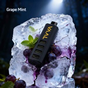 Vaal 50k Disposable Vape in Dubai - Grape Mint