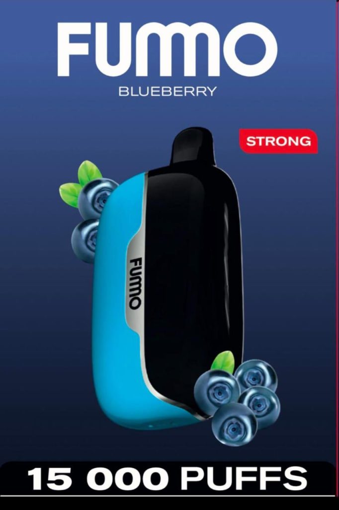 FUMMO Power 15000 Puffs 20MG Disposable Vape in Dubai - Blueberry