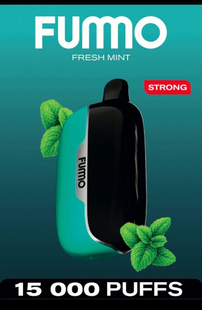 FUMMO Power 15000 Puffs 20MG Disposable Vape in Dubai - Fresh Mint
