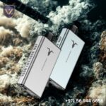 Ignite Ice 40000 Puffs Disposable Vape In Dubai