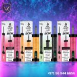 HoQa 80000 Puffs 5% Shisha Based Vape In Dubai